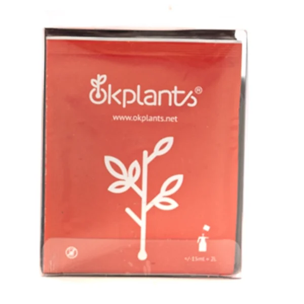 RootCare – Raízes Fortes