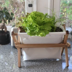unique wooden vase