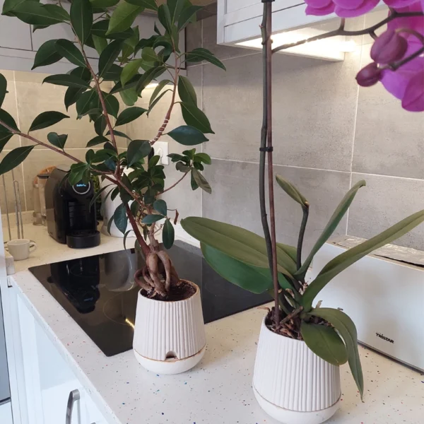 Kabin Slim – Elegância Vertical - Imagem 4