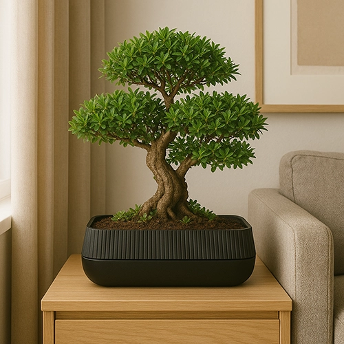 moyogi – vaso retangular baixo em faiança com drenagem inteligente moyogi – vaso retangular baixo em faiança com drenagem inteligente