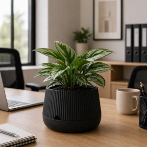 sokan™ – vaso decorativo com drenagem inteligente