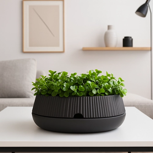 Home tanuki – vaso decorativo com drenagem inteligente