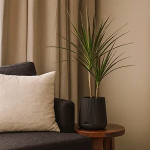 uro – vaso decorativo em faiança com drenagem inteligente