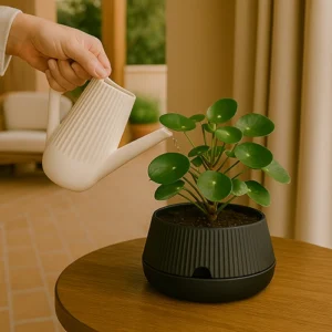 watering can – regador decorativo em faiança