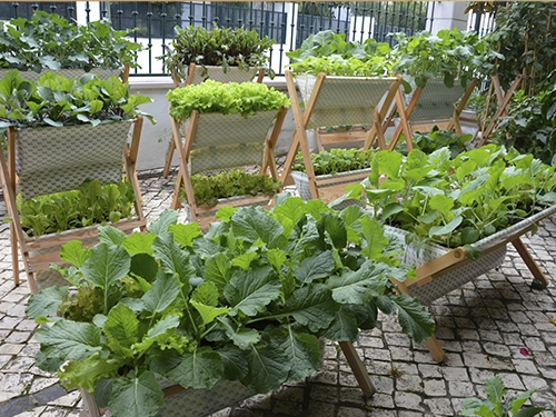 WallFarm para jardins verticais