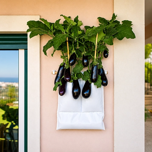 Wall Farm com flores numa parede exterior