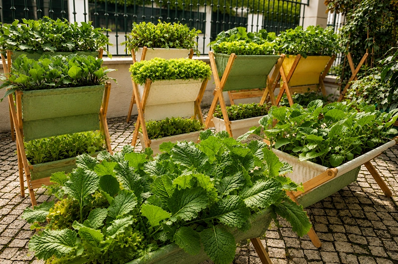 Vários sistemas Grootpots com plantas cultivadas