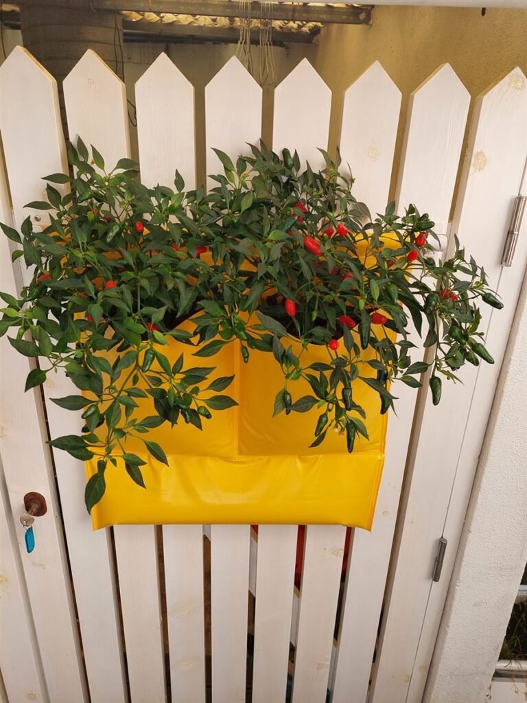 Wall Farm Duo amarelo com malaguetas — Grootpots