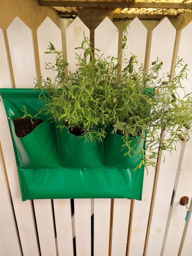 Wall Farm Trio verde cheio de aromáticas — Grootpots