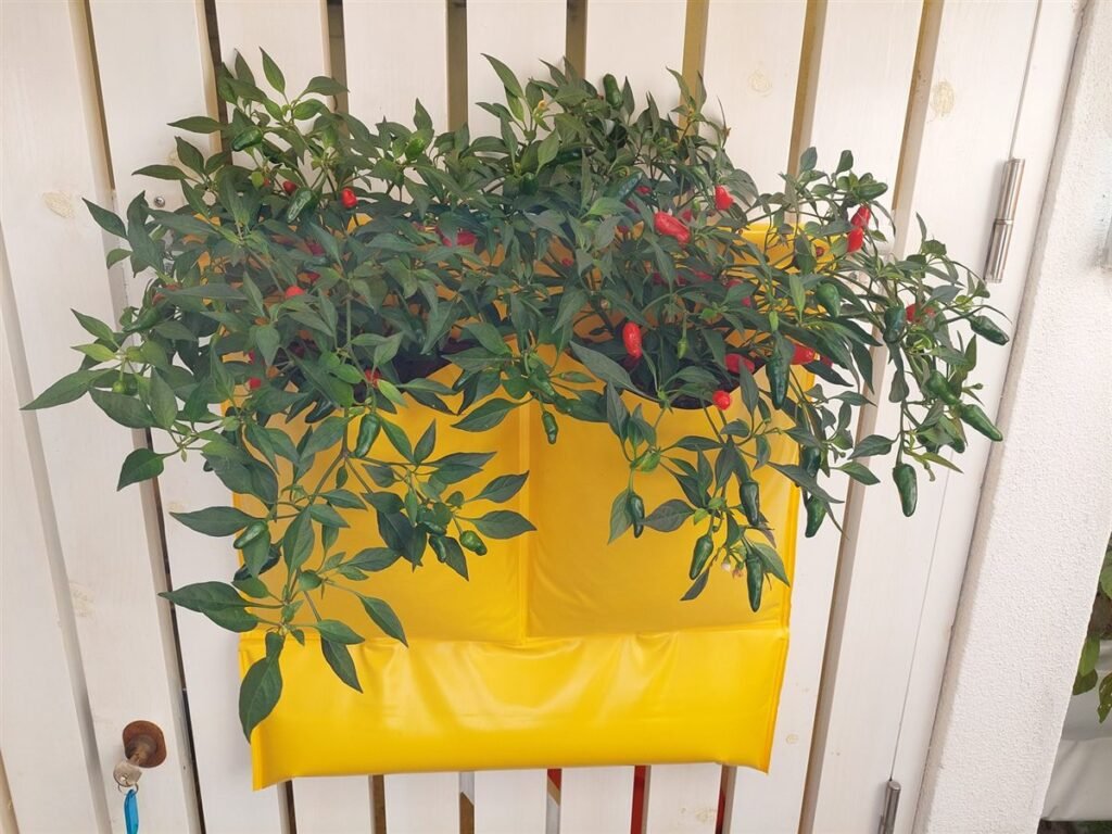 Malaguetas a crescer no Wall Farm Duo — Grootpots