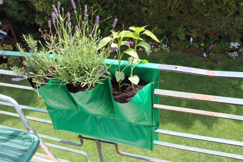 Lavanda e pimentos numa varanda — Grootpots