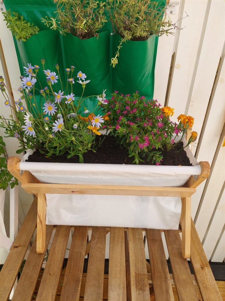 Wall Farm e House Farm juntos, cheios de flores — Grootpots