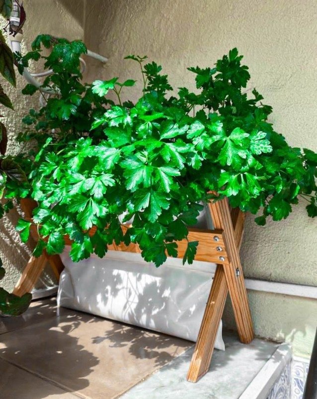 Salsa viçosa no House Farm — Grootpots