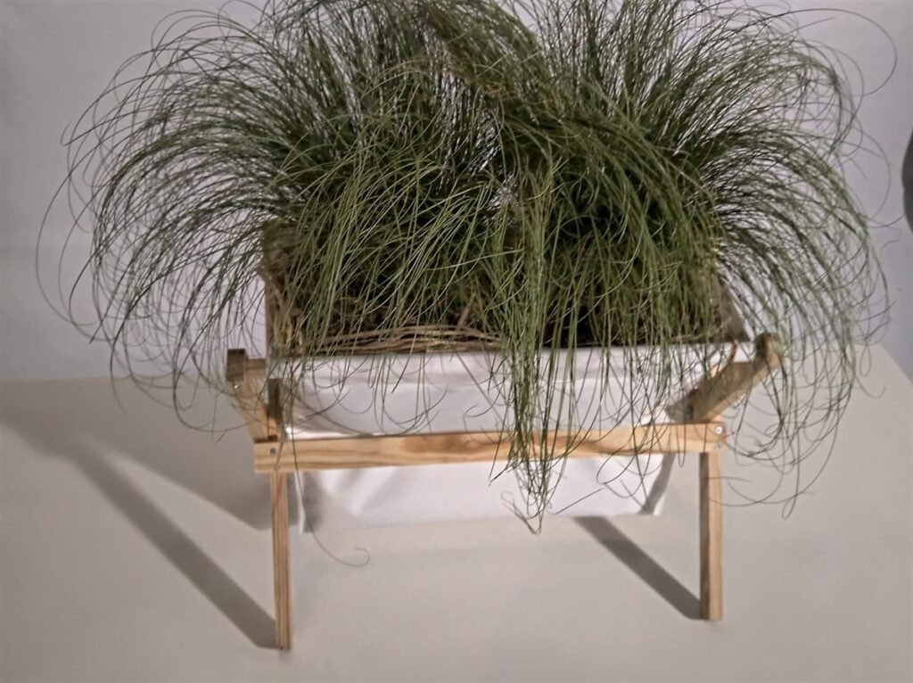 House Farm branco com gramíneas, dentro de casa — Grootpots