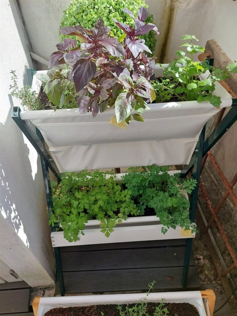 Farm Duo com manjericão roxo e alfaces — Grootpots